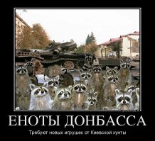 Еноты Донбасса