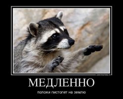 Еноты Донбасса