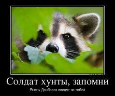 Еноты Донбасса