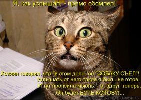 Ким Чен Ын призвал голодающих корейцев есть собак