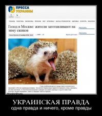 Ким Чен Ын призвал голодающих корейцев есть собак