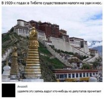 Смешные картинки из соц.сетей