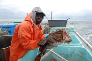 Я не понял, кто из них европейский удильщик, он же морской черт.