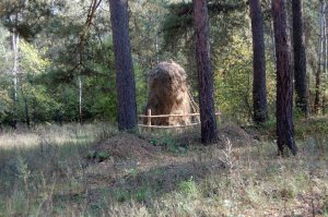 Ничего необычного