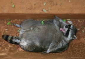 вот спасибо...