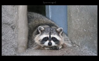 вот спасибо...