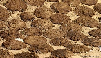 """И мне лопату блинов. Обеспечь, буд добр."""
Бери, дорогой, не жалко.