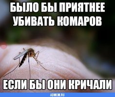 Почему комаров нельзя уничтожить? 