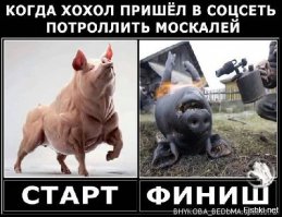 Программу российских гимнасток никто не повторит еще 50 лет – тренер