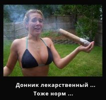 Лекарственые растения России