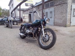 мои крысята))