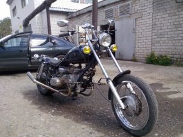 мои крысята))