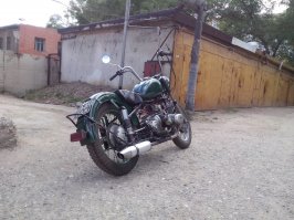 мои крысята))