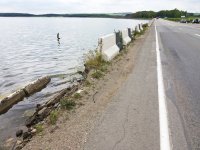 Полностью согласен.
Но не всегда это благо.
На границе Ставропольского края и КБР есть озеро Тамбукан.
Оно солёное, его грязью лечатся во всех грязелечебницах КМВ, да и в другие регионы вывозят.
Вот оно преснеет как раз из-за лесопосадок вокруг него.
И при этом повышается его уровень.
За последние 30 лет( это только то, что я помню) уровень поднялся метра на 2, если не больше. Озеро уже переливалось бы через трассу "Кавказ", если бы не сделали отлив под ней. 

Вот на этой картинке видно, как оно разлилось.
Раньше до трасса было метров 20-30 и была лесополоса.