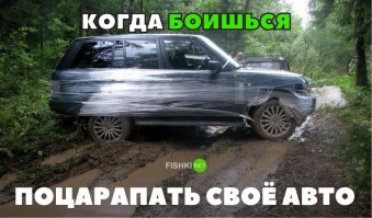 Не, мне понравилось! А чего, нормальный ход - залез неожиданно куда-нить, что - машину драть надо? Владелец вполне разумно подошел к ситуации! Респект за смекалку! Лучше пару минут смешно смотреться, чем потом за полировку денЮжку отваливать