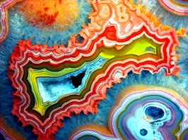 Как выглядят привычные нам вещи в разрезе