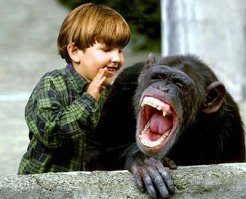 Пожилой кавказец заходит в магазин и обращается к продавцу…