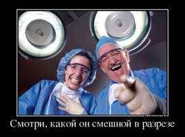 Как выглядят привычные нам вещи в разрезе