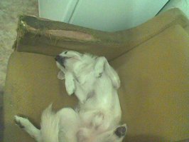 Как то уместился...