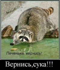 про печеньку