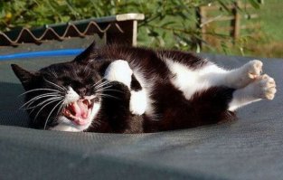 Сумасшедшие моменты, когда поддержка просто необходима