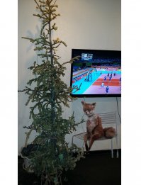 Сегодня я сдался