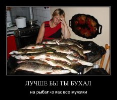 Рыбалка. Спиннинг. Дон