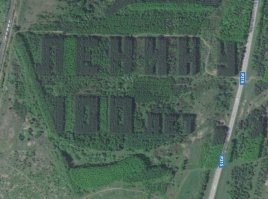 11 невероятных открытий, которые принесли нам Google карты