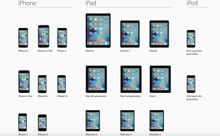 Вот будущие лучшие друзья человека