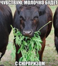 «Пиво моим детям можно, но только по пятницам». Сергей Шнуров решил устроить перекур с дочкой и несовершеннолетним сыном