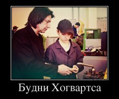 Еду я как-то в общественном транспорте, вы не поверите, с кем!