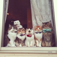 Фотоподборка за 23.08.2016