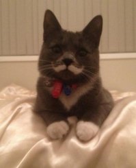 Фотоподборка за 23.08.2016