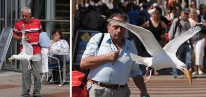 20 ситуаций, в которых всё пошло не по плану