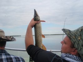 Рыбалка. Спиннинг. Дон