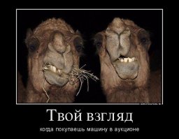 Самые дорогие автомобили аукционов прошедшего уикенда