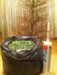 Мог бы и в этом году продержаться до 31 декабря. ;)