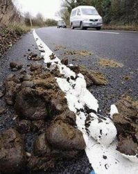 На грязь? А так слабо?