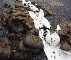 Последняя убила!