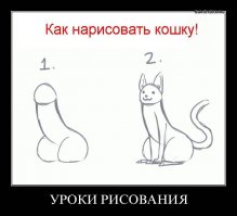 Волшебное видео от голландский художника Тийме Термаата