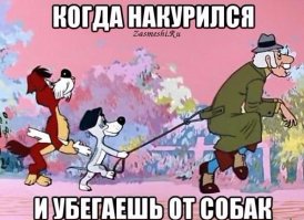 Специалисты по солнечным батареям и их установке есть?