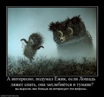 Специалисты по солнечным батареям и их установке есть?