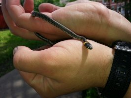 Фотоподборка 