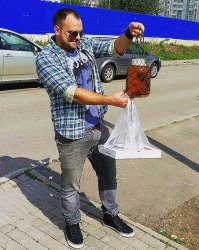 Бро, не поверишь!))