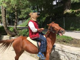 Фотоподборка 