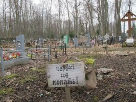 Удивительные снимки с российских просторов 