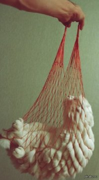 Смешные картинки из соц.сетей