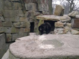 И это тоже Калининград :)