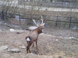 И это тоже Калининград :)