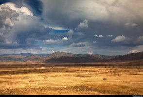 Нет, пусть пиндосы со своей "саванной" не подмазываются, Степь она такая: